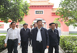 JJ日bb习近平：进一步发展中医药